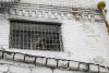 За побег заключенного из СИЗО Благовещенска накажут инспектора отдела режима и надзора