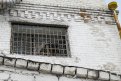 В Приамурье уголовно накажут надзирателя за побег заключенного из СИЗО. Фото: Архив АП