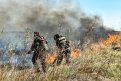 В Амурской области зарегистрировано 36 природных пожаров. Фото: Алексей Сухушин