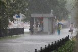 Японский тайфун принес в Амурскую область очень сильные дожди и ливни с грозой