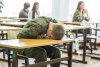 Школьники Амурской области пересдадут ЕГЭ и ОГЭ