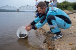 Более 6 тысяч мальков амурского осетра выпустили в Зею в Ивановском округе