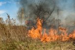 В Амурской области потушили все природные пожары