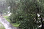 Сильные дожди прольются в среду в Амурской области