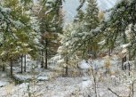 Первосентябрьский снег выпал в двух районах соседней с Приамурьем Якутии