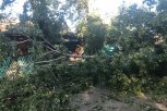 В Мазановском районе от урагана пострадали пять жилых домов