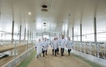 В Ивановке запустили самую большую в Амурской области молочную ферму