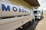 Четыре новых молочных фермы закроют потребность предприятий Амурской области в молоке