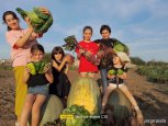 Гиганты в кадре: 67 снимков прислали амурчане на фотоконкурс «Амурский урожай»