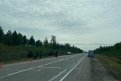 В Амурской области насмерть сбили пешехода. Фото: epp.genproc.gov.ru