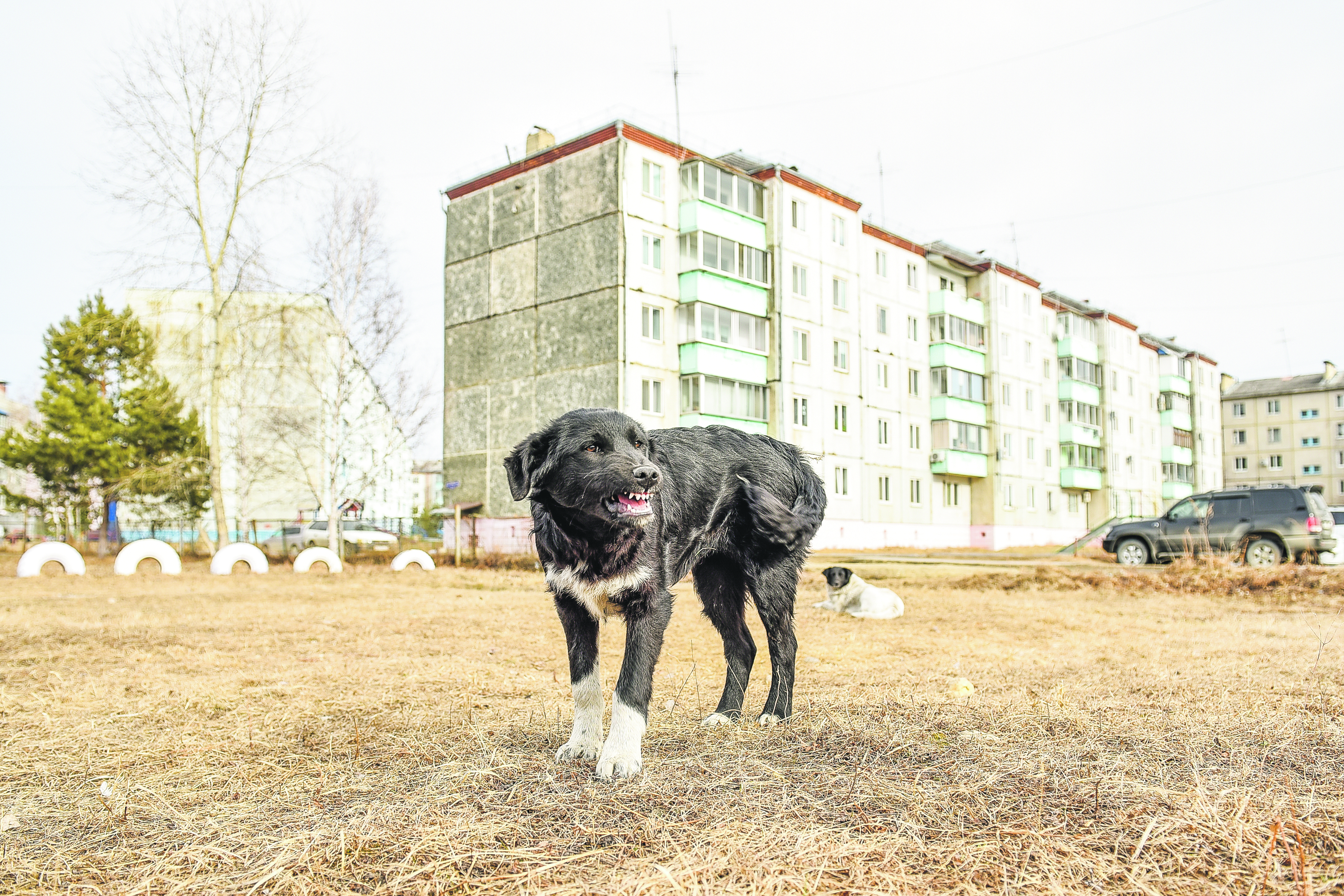 Фото: Алексей Сухушин