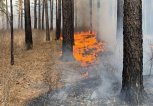 Три первых осенних пожара потушили в Амурской области