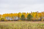 В понедельник в Приамурье без осадков: прогноз погоды на 2 октября