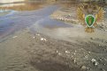 Золотодобытчика в Зейском округе за грязную реку наказали рублем. Фото: epp.genproc.gov.ru