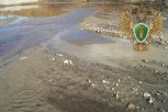 Золотодобытчик в Зейском округе частично заплатил за загрязненную им реку