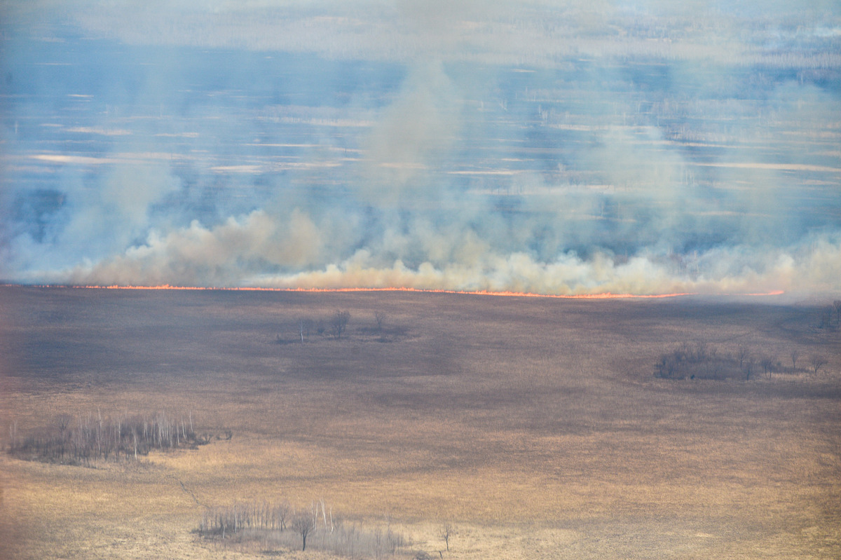 В Амурской области действует четыре природных пожара. Фото: Архив АП