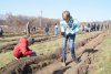 Амурская область признана одной из лучших в стране по охране лесов от пожаров