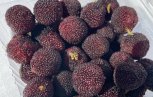 Полтысячи тонн экзотических фруктов доставили в Приамурье из Китая