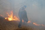 Пожароопасный сезон в Амурской области закрыт