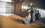 800 тысяч тонн за границу: куда экспортируется амурское зерно