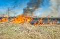 Пятерых поджигателей лесов выявили в Приамурье за время пожароопасного сезона. Фото: Алексей Сухушин