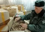 Более 300 тонн корней лекарственных растений вывезли из Приамурья в Китай