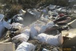Поймали с поличным: амурчанин заплатил 40 тысяч рублей за выгрузку мусора в неположенном месте