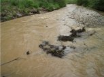 В Приамурье золотодобывающая компания возместила десять миллионов ущерба за загрязнение реки