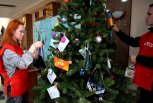 Полетели письма на ёлку желаний: в Приамурье дали старт благотворительной акции к Новому году