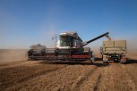 «Корфовский» делает ставку на эффективность и бьет рекорды урожайности