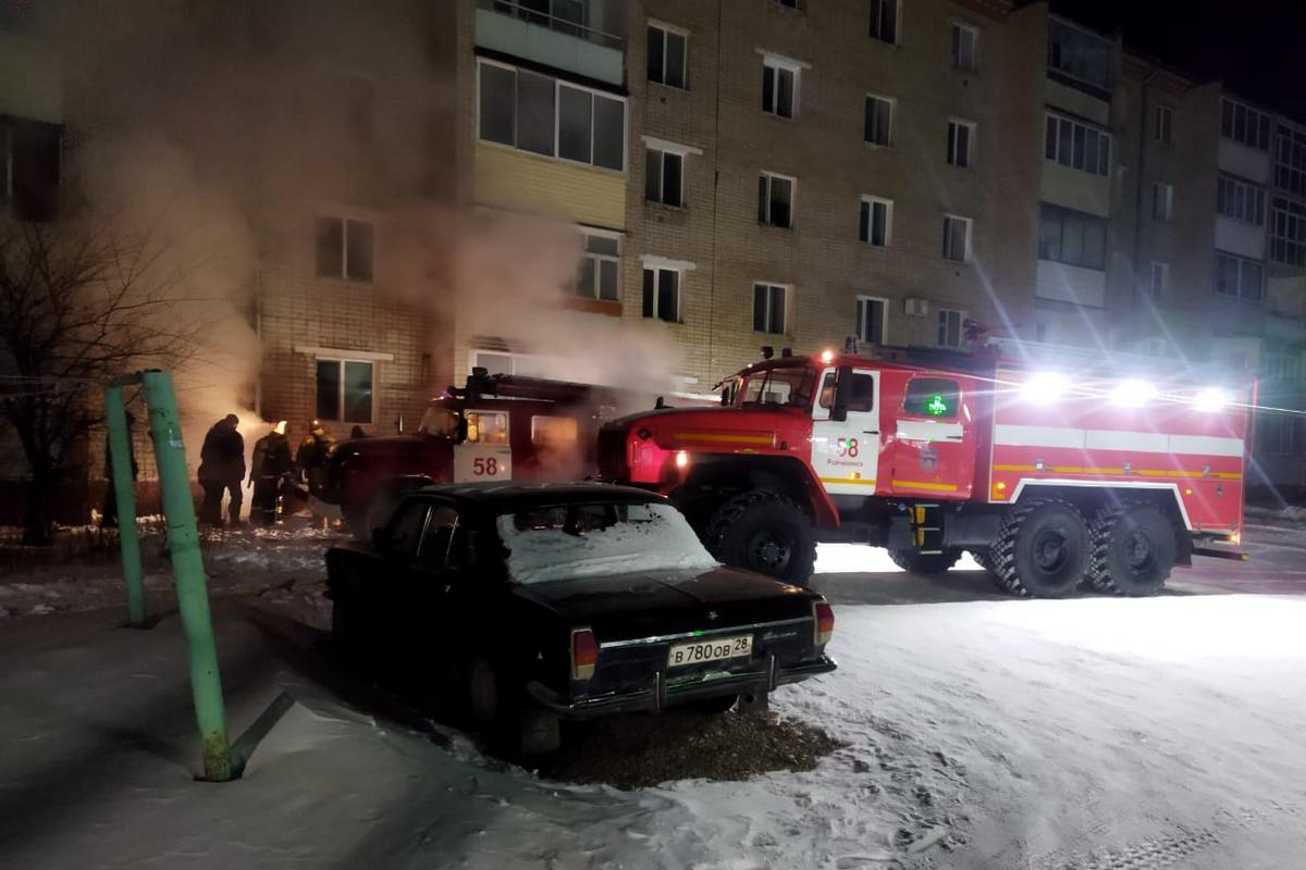 Амурские пожарные эвакуировали жителей многоэтажки в Райчихинске и спасли  30 кошек в Чигирях — Амурская правда, новости Благовещенска и Амурской  области