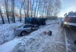 В Серышевском округе легковушка столкнулась с грузовиком
