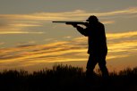 Руководитель Амурской организации охотников и рыболовов  — об особенностях охоты