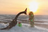 Фотосессия Юрского периода: амурчанка сфотографировала, как отмечают Новый год динозавры