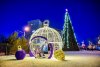 Еще один «Гринч» покусился на общественную новогоднюю елку в Приамурье (видео)