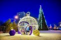 В Благовещенске ищут хулигана, испортившего новогоднюю елку в парке Дружбы. Фото: Алексей Сухушин