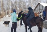 Рождество с лошадьми проведут ребятишки Благовещенска