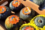 Почти тысячу тонн фруктов и овощей завезли в Приамурье из Китая в первую неделю 2024 года
