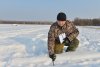 Амурские охотоведы начали перепись промысловых птиц и животных в лесах региона