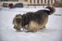 Фото: Алексей Сухушин