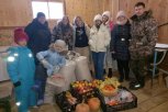 Амурчане перечислили больше 100 тысяч рублей на корм журавлям Муравьевского парка