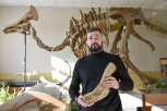 Как найти мозоль у динозавра: амурские ученые делают сенсационные открытия мирового уровня