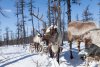 В Амурской области 10 февраля переменная облачность и местами снег