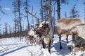 Фото: Архив АП