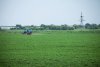 В Приамурье у пустивших на поля иностранцев хозяйств будут изымать землю