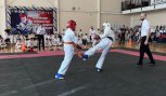 Чемпионат и первенство Амурской области по всестилевому карате прошли в Белогорске