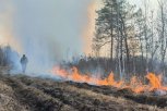 Амурские огнеборцы потушили два лесных пожара в Свободненском районе