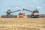 С начала года из Приамурья экспортировали почти 170 тысяч тонн зерна и продуктов его переработки