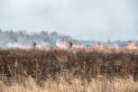 Сильный ветер мешает огнеборцам потушить природный пожар в Магдагачинском районе