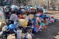 Жители домов по улице Ленина аккуратно сложили мусор у контейнеров. Фото: t.me/smeliukov